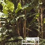Mirasol Mont-de-Marsan