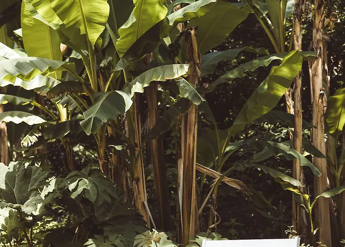 Mirasol Мон-де-Марсан